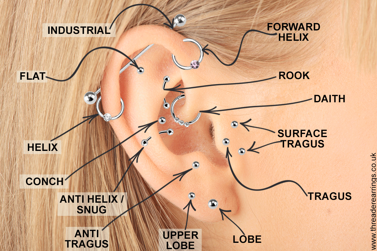 Ear piercing diagram